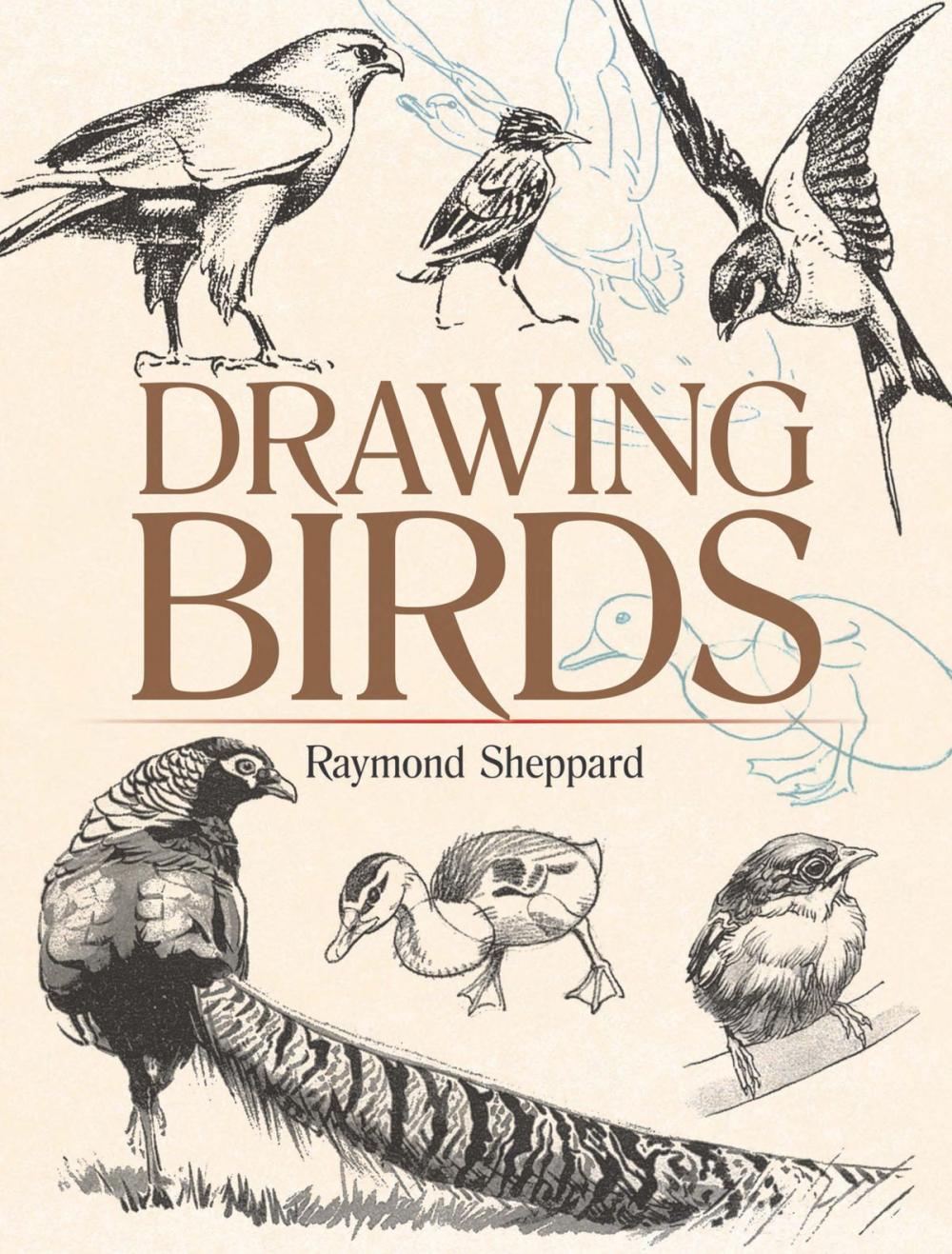 Big bigCover of Drawing Birds