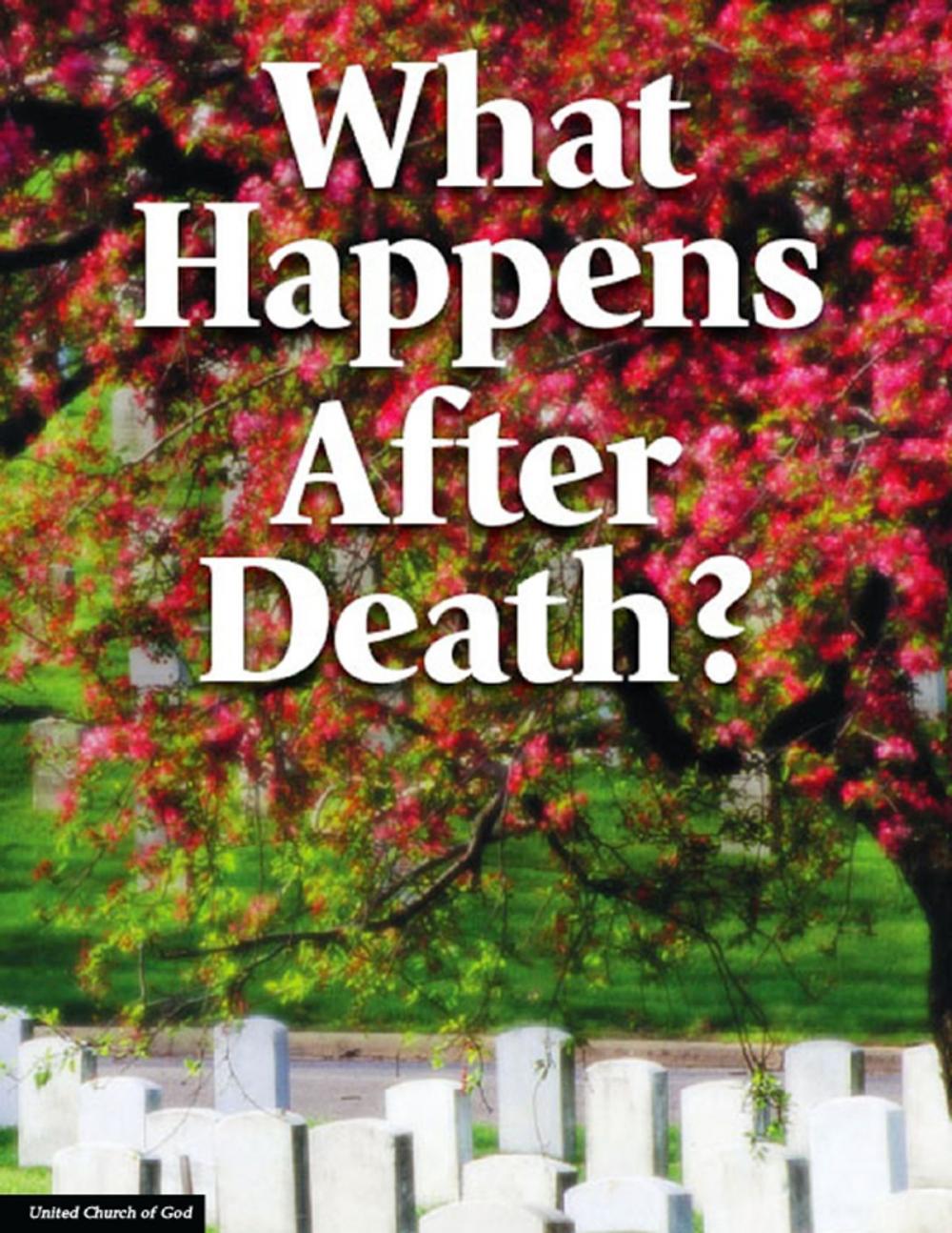 Big bigCover of What Happens After Death?