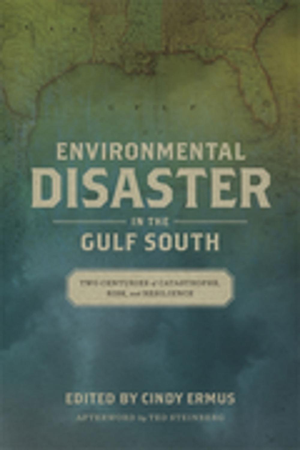 Big bigCover of Environmental Disaster in the Gulf South