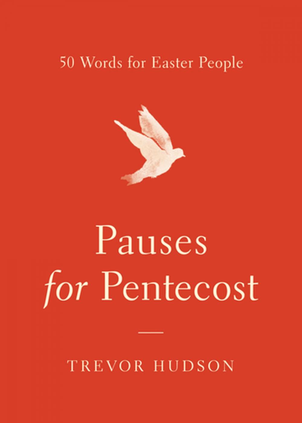 Big bigCover of Pauses for Pentecost