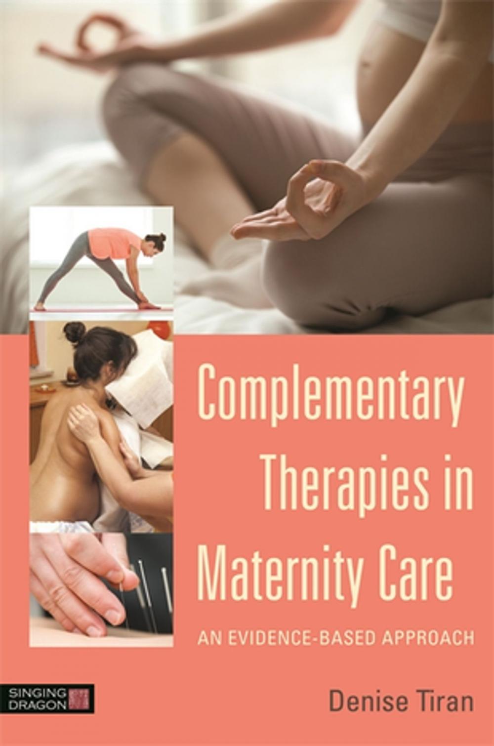 Big bigCover of Complementary Therapies in Maternity Care