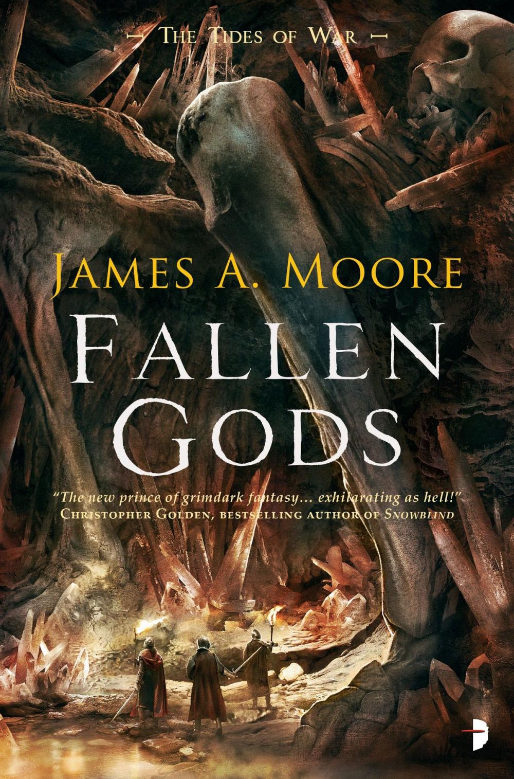 Big bigCover of Fallen Gods