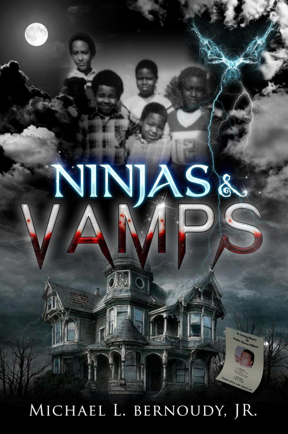 Big bigCover of Ninjas and Vamps