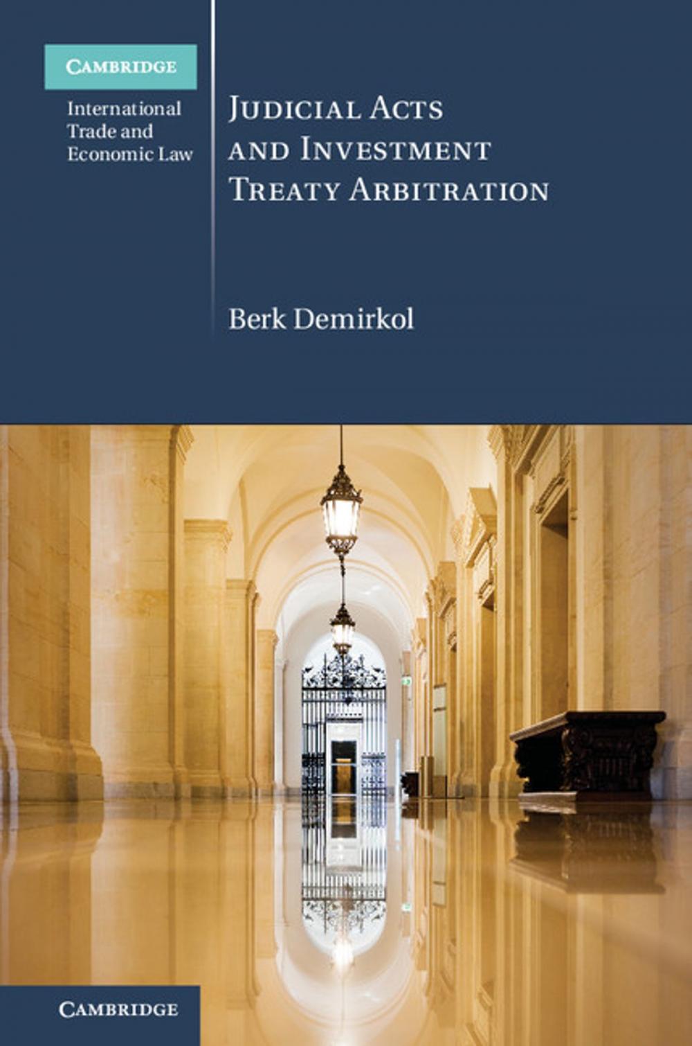 Big bigCover of Judicial Acts and Investment Treaty Arbitration