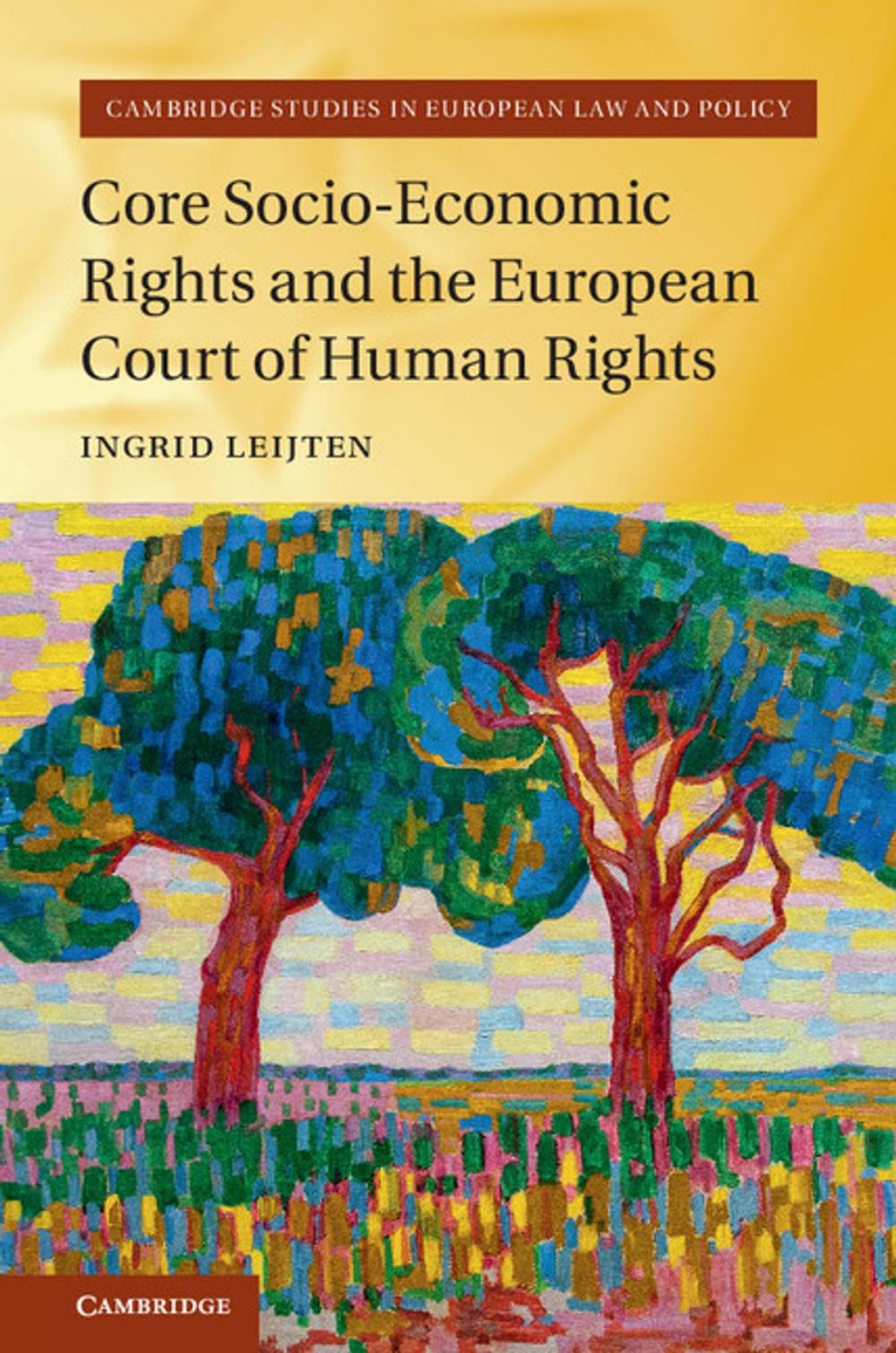 Big bigCover of Core Socio-Economic Rights and the European Court of Human Rights