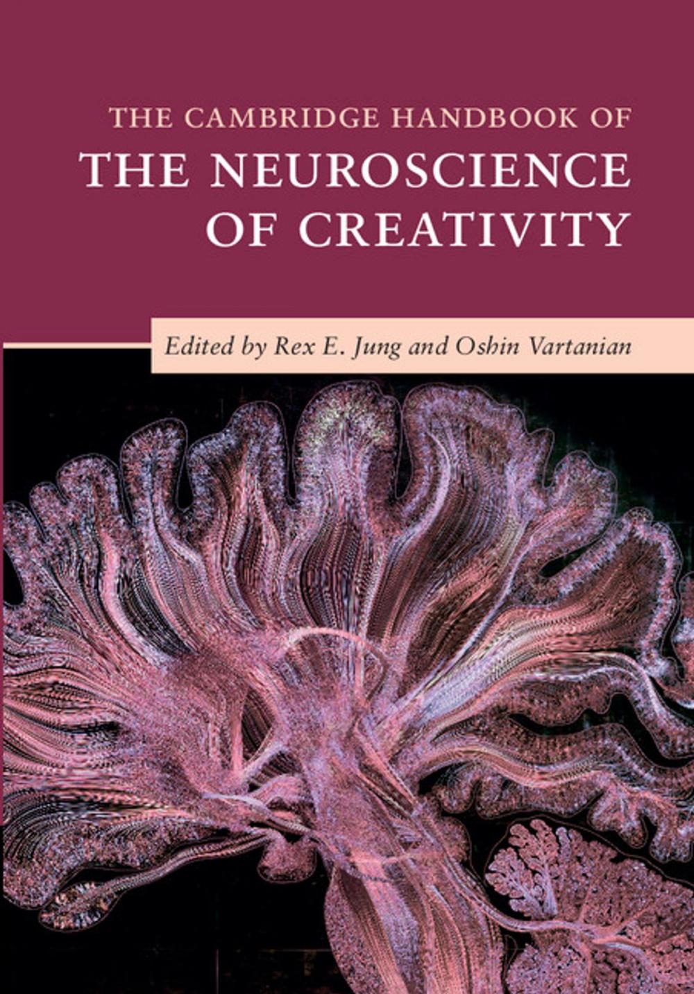 Big bigCover of The Cambridge Handbook of the Neuroscience of Creativity