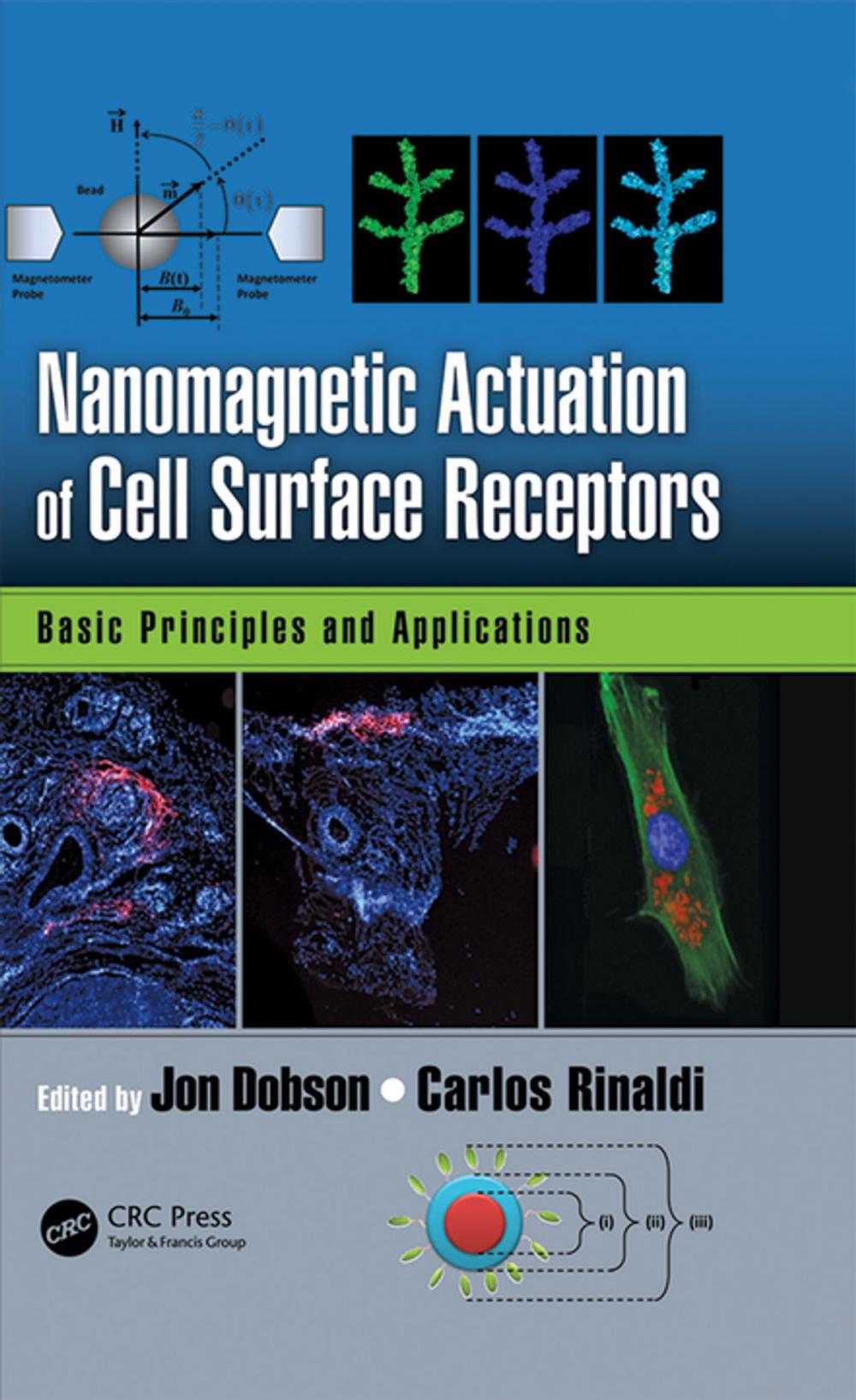 Big bigCover of Nanomagnetic Actuation in Biomedicine