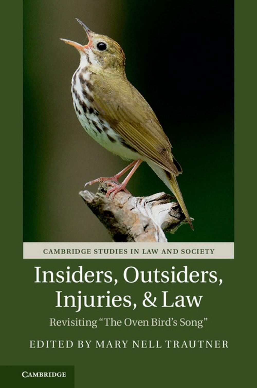 Big bigCover of Insiders, Outsiders, Injuries, and Law