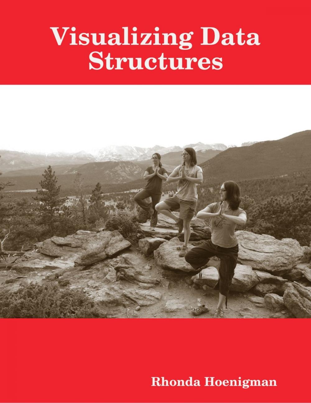 Big bigCover of Visualizing Data Structures