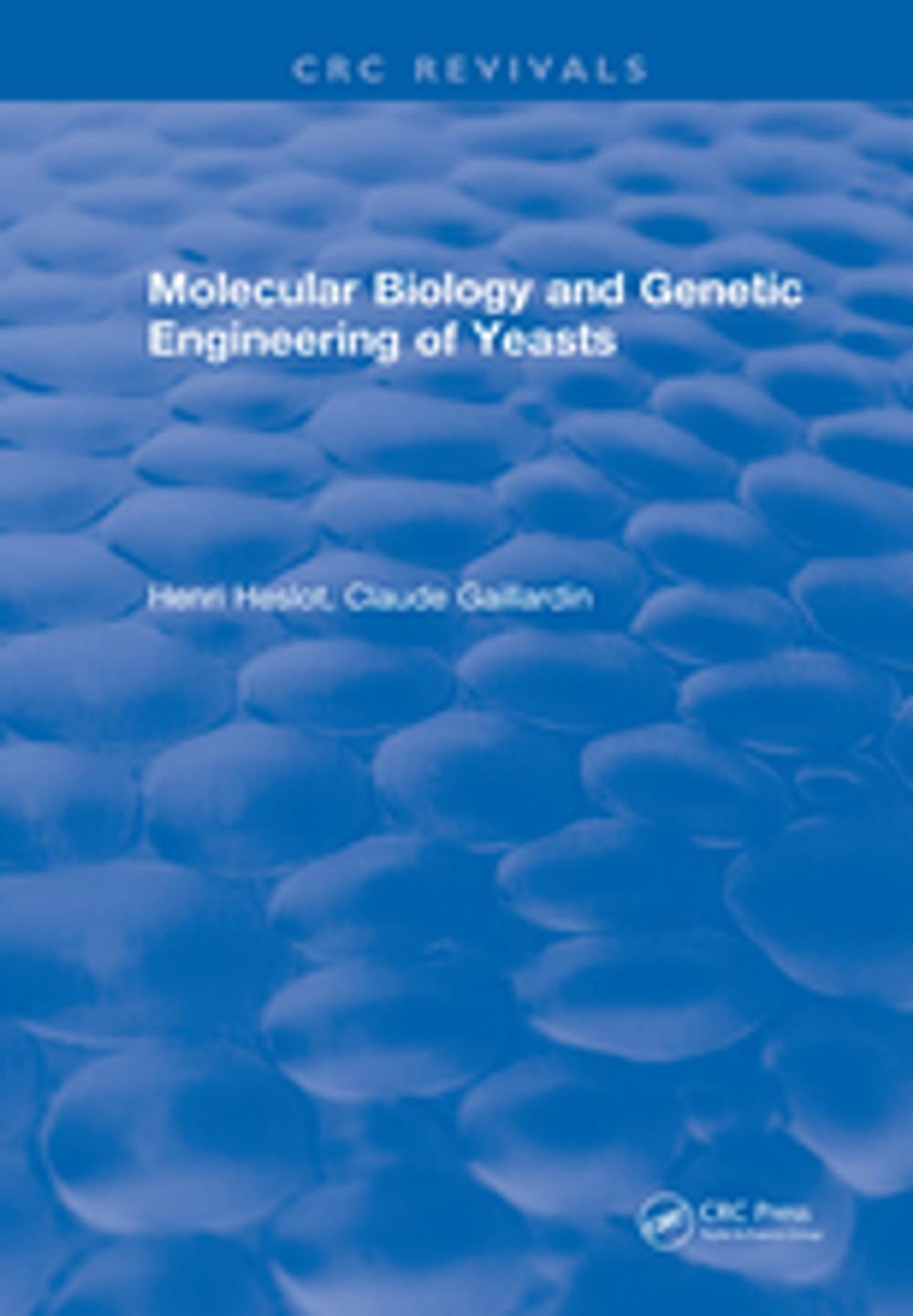 Big bigCover of Molecular Biology and Genetic Engineering of Yeasts