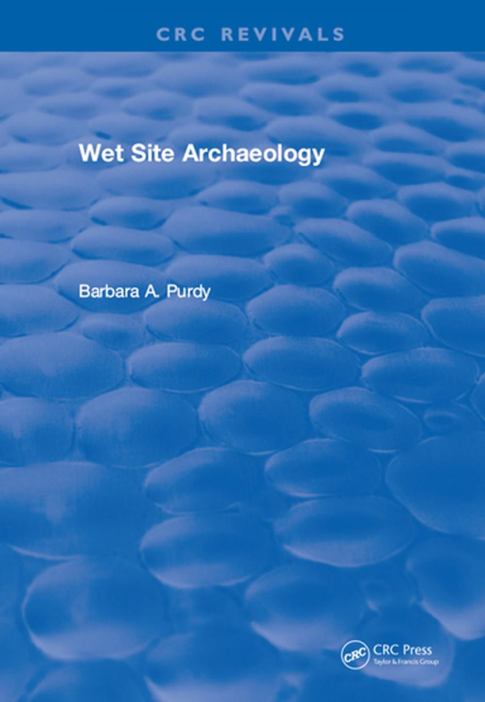 Big bigCover of Wet Site Archaeology