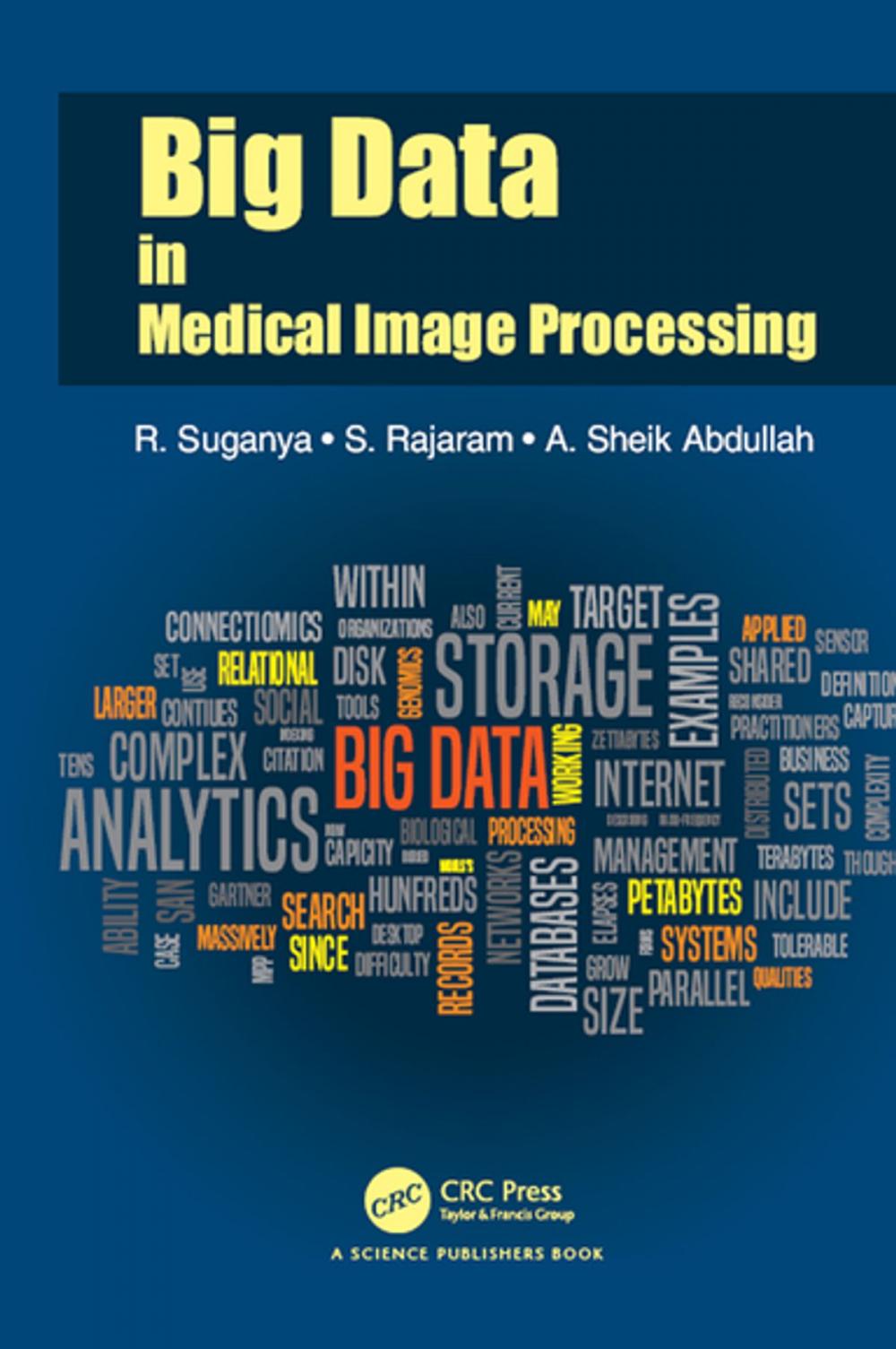 Big bigCover of Big Data in Medical Image Processing