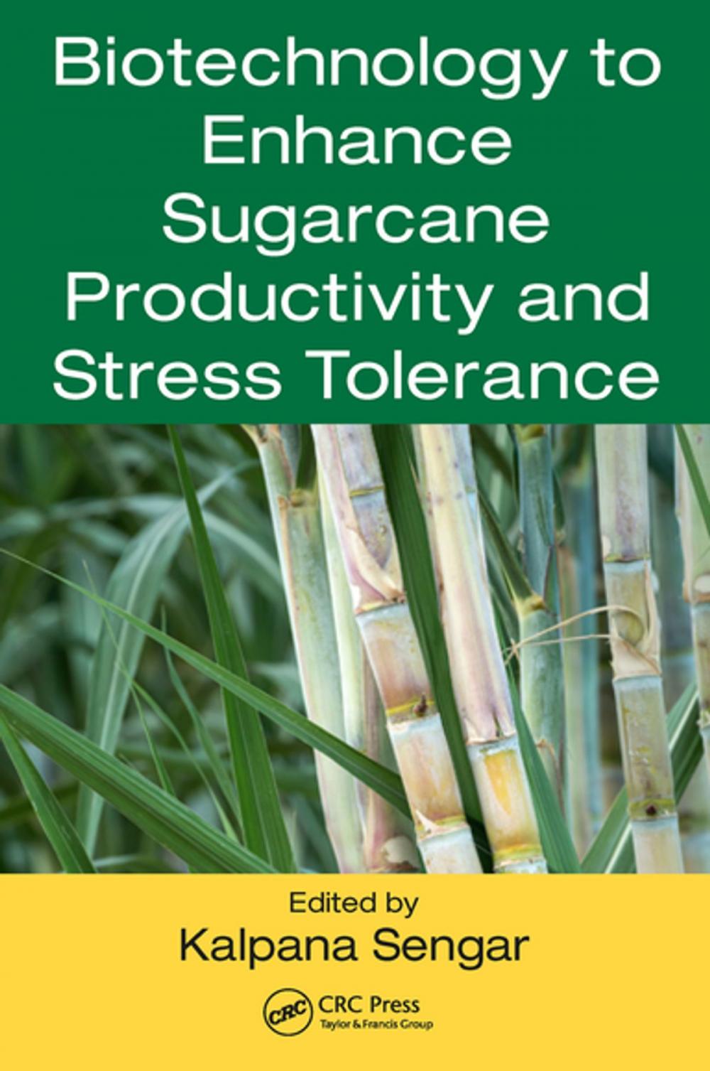 Big bigCover of Biotechnology to Enhance Sugarcane Productivity and Stress Tolerance