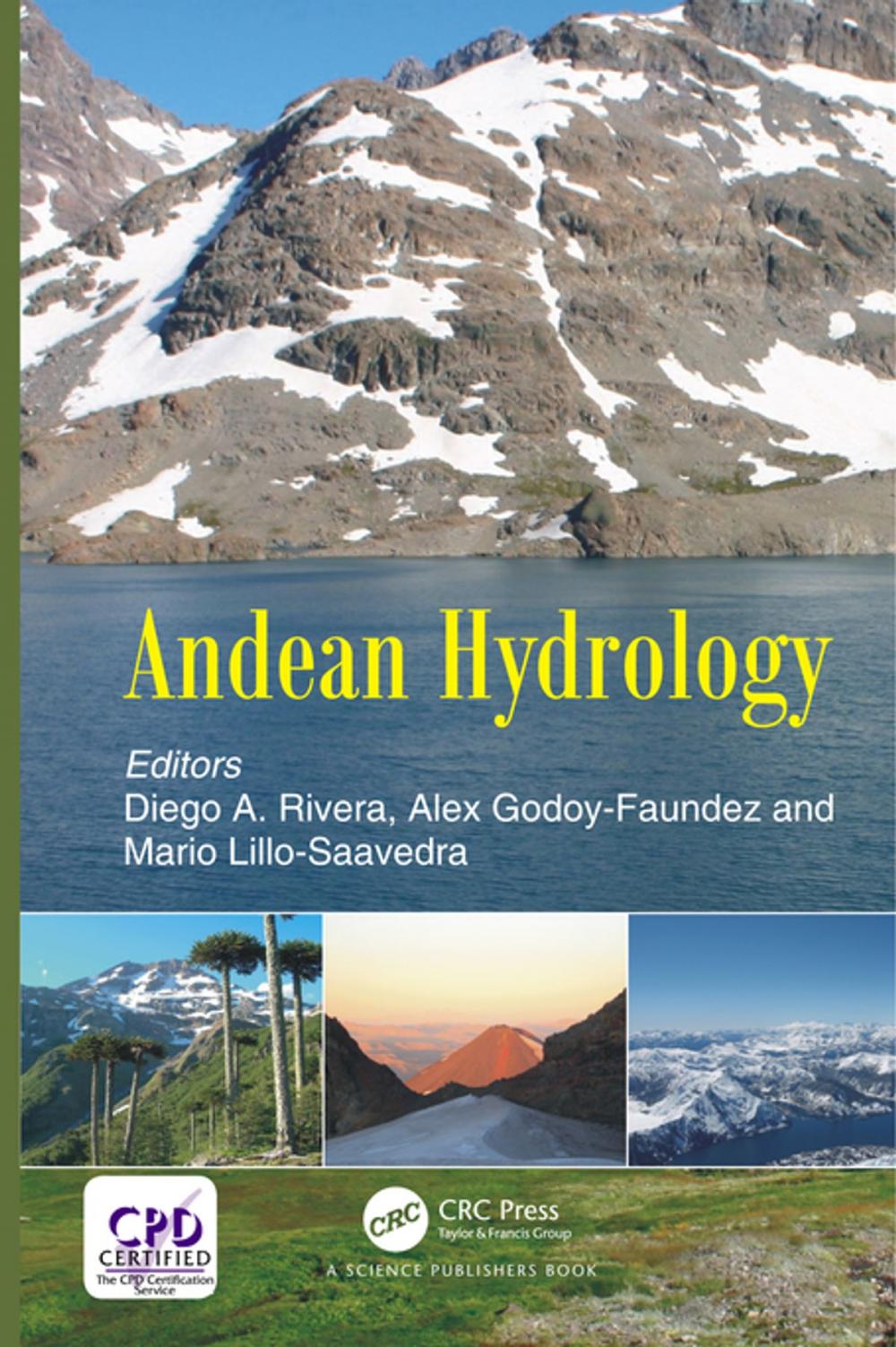 Big bigCover of Andean Hydrology