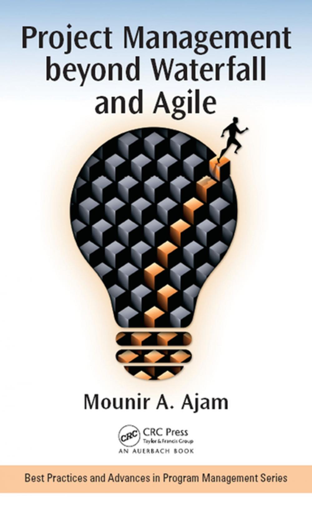 Big bigCover of Project Management beyond Waterfall and Agile