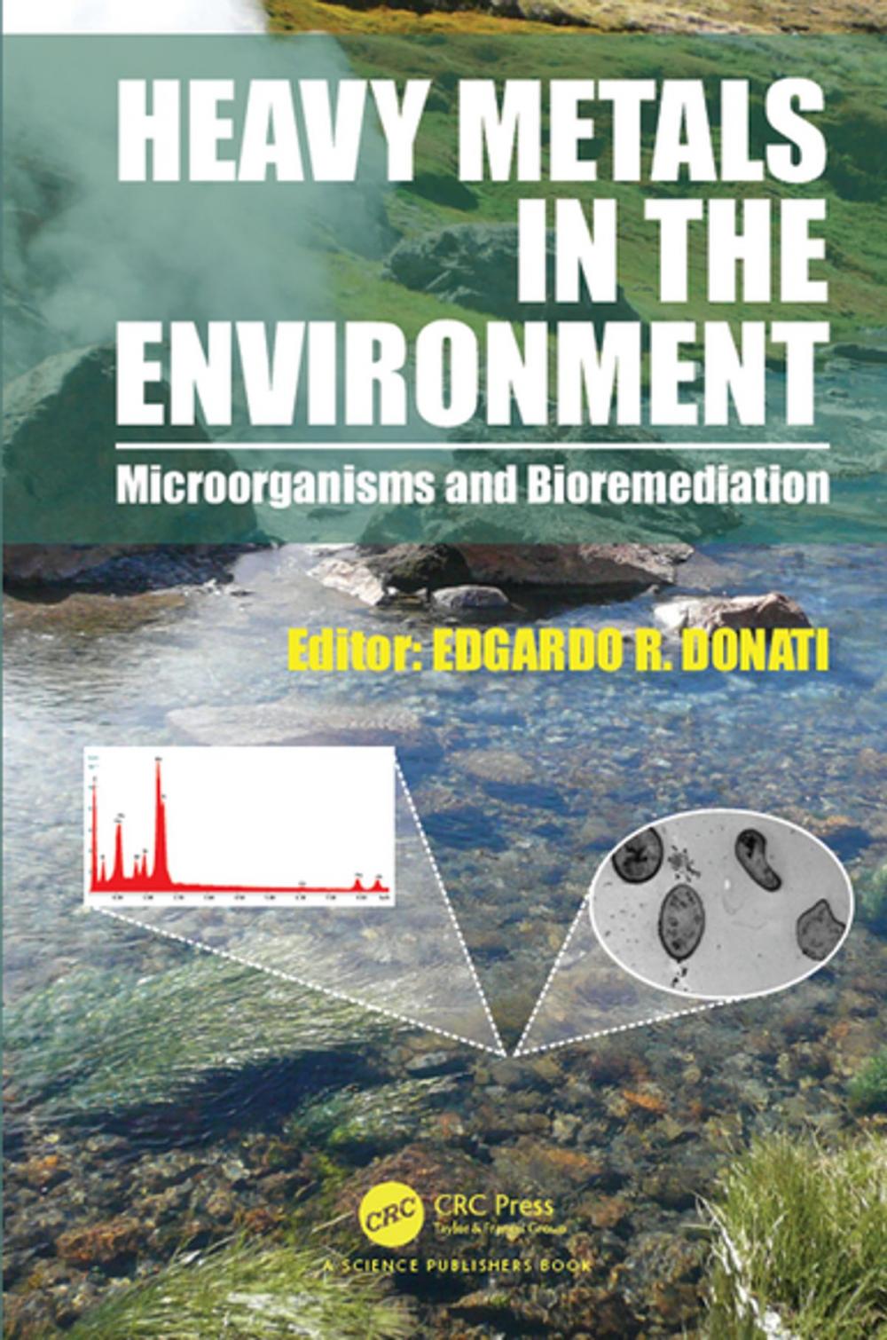 Big bigCover of Heavy Metals in the Environment