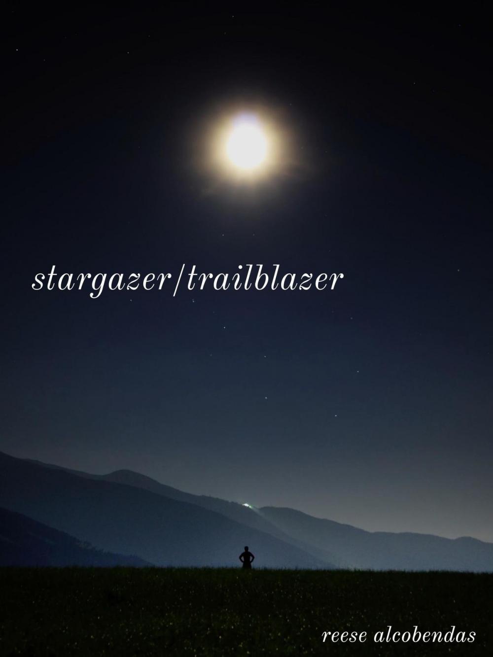 Big bigCover of Stargazer/Trailblazer