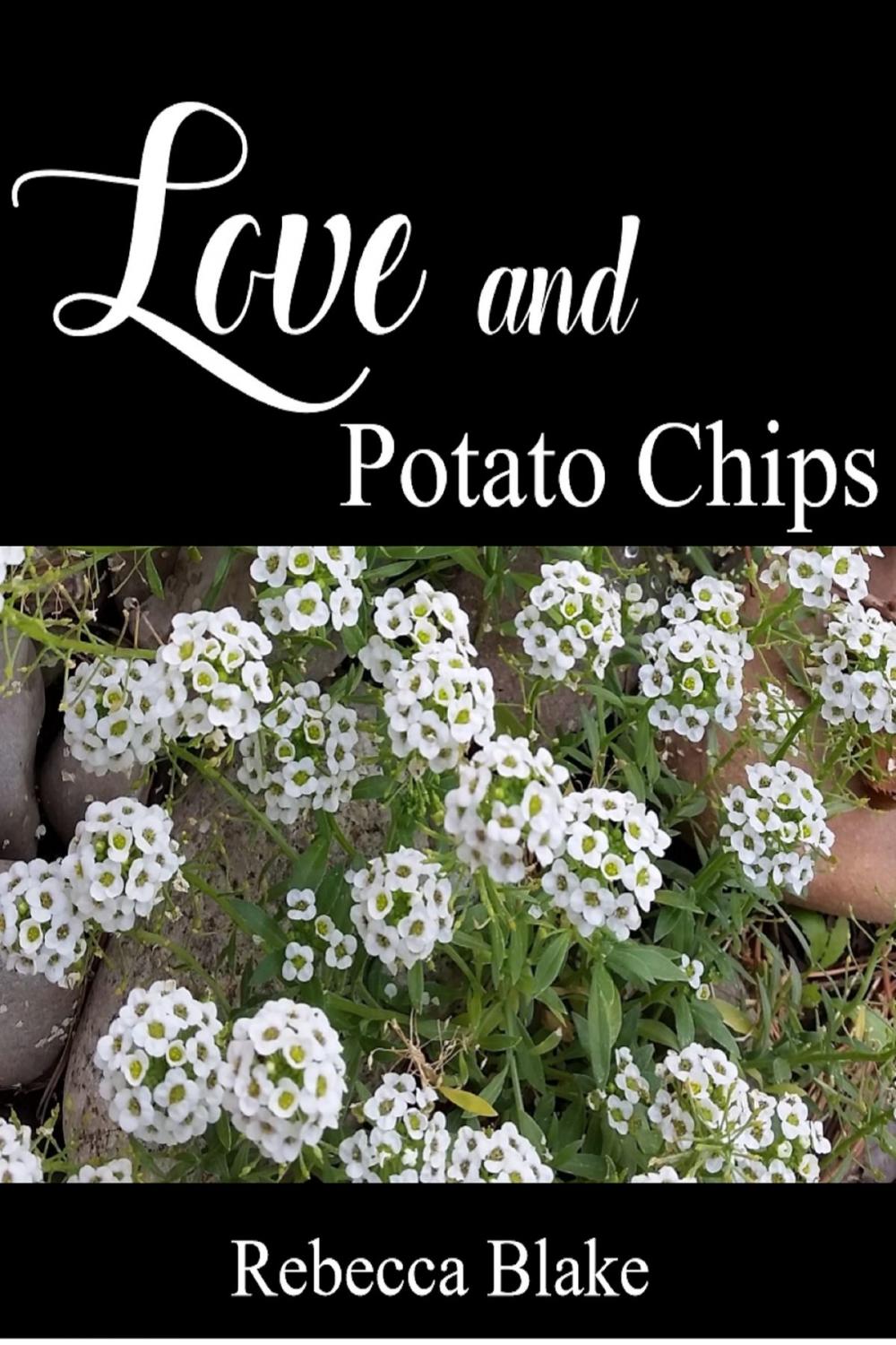 Big bigCover of Love and Potato Chips