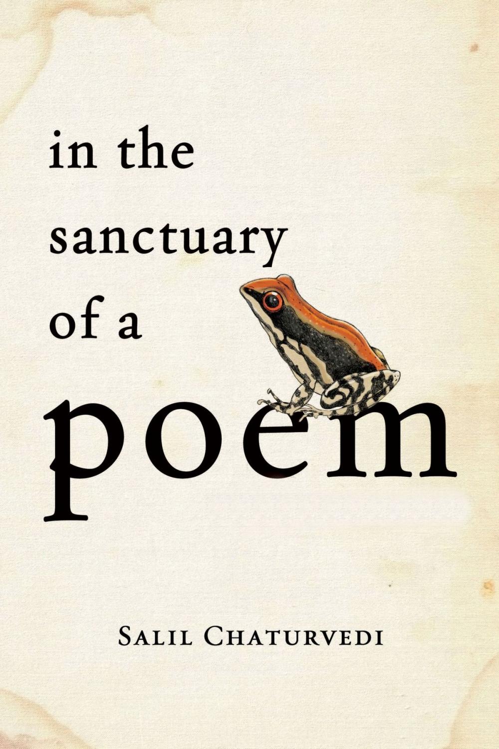 Big bigCover of In The Sanctuary Of A Poem