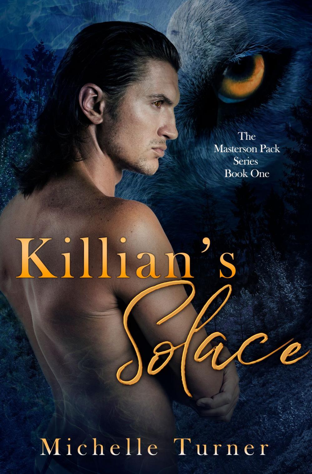 Big bigCover of Killian's Solace