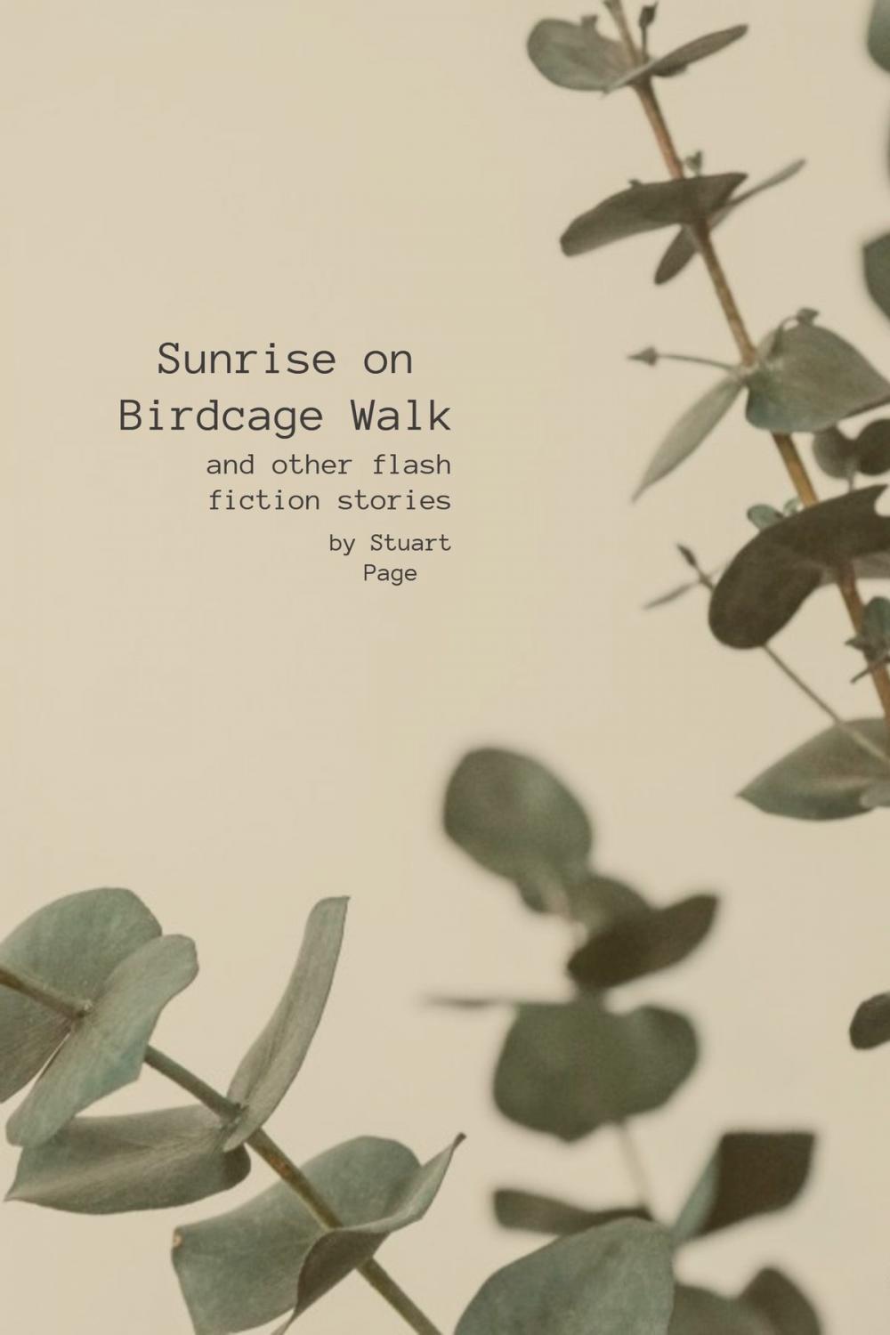 Big bigCover of Sunrise on Birdcage Walk, and Other Flash Fiction Stories