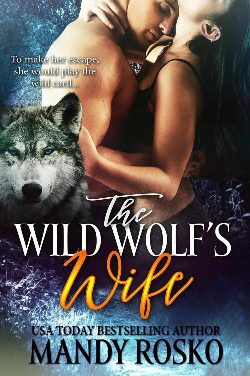 Big bigCover of The Wild Wolf's Wife Volume 3