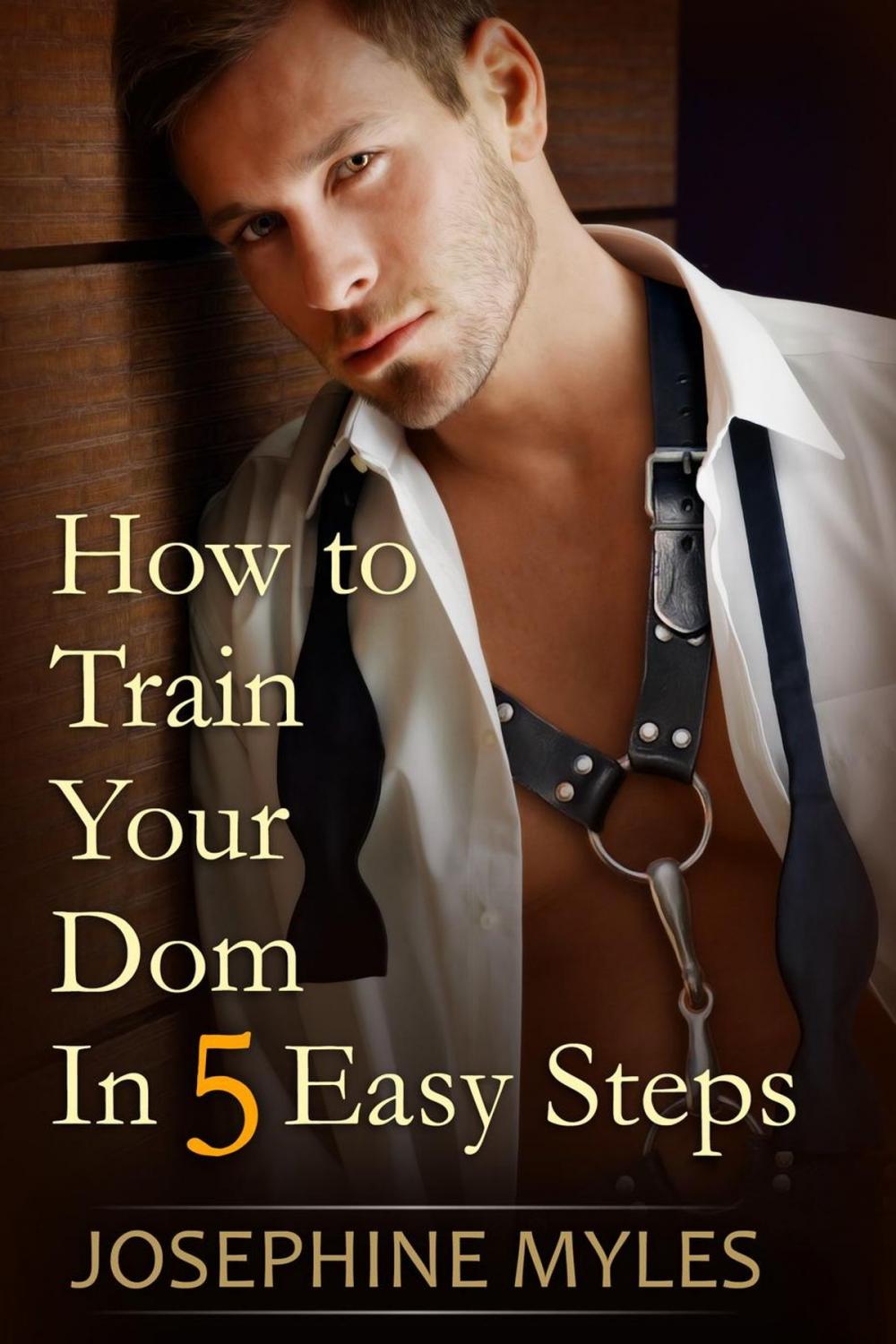 Big bigCover of How to Train Your Dom in Five Easy Steps