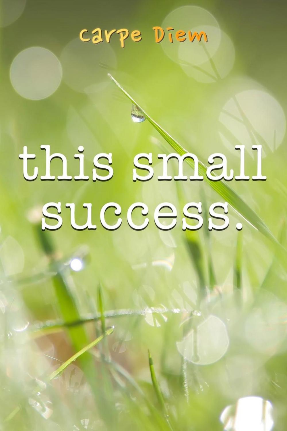 Big bigCover of This Small Success