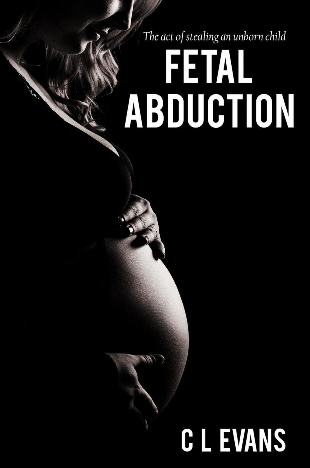 Big bigCover of Fetal Abduction