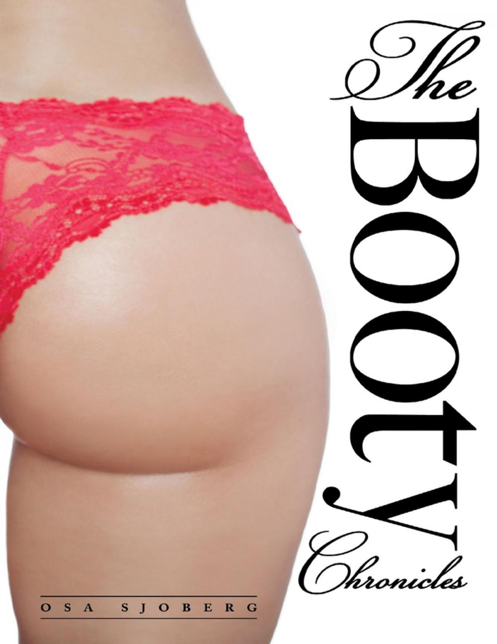 Big bigCover of The Booty Chronicles