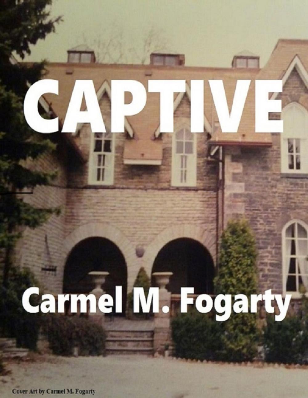 Big bigCover of Captive