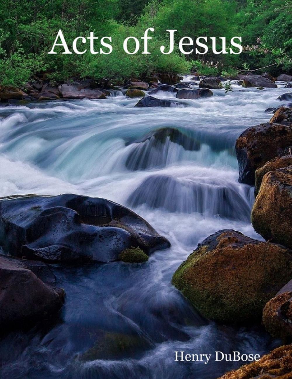 Big bigCover of Acts of Jesus