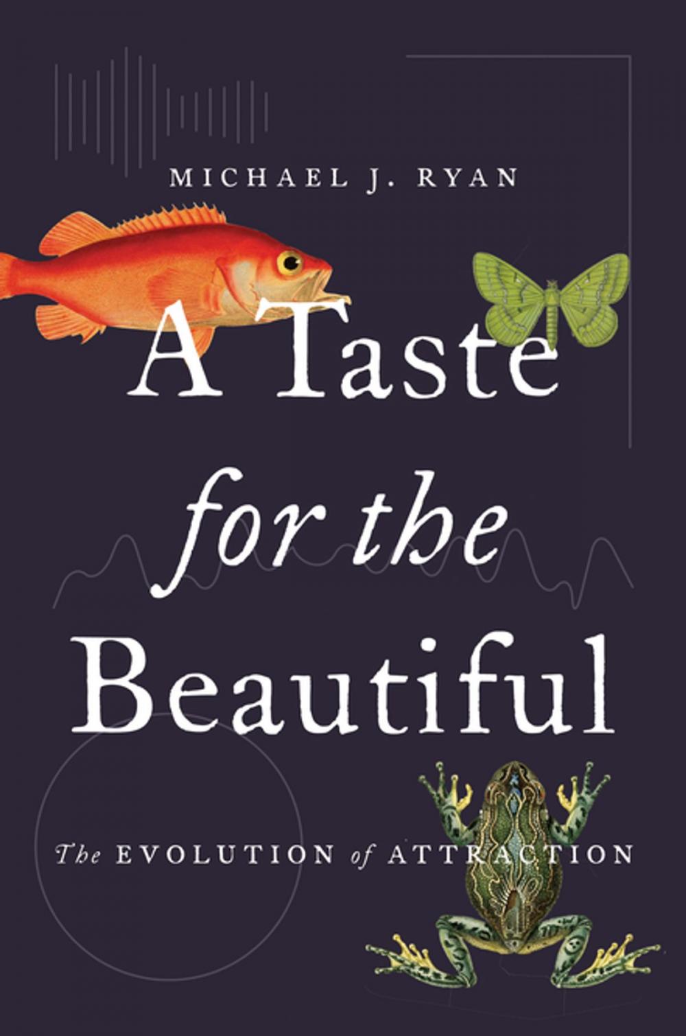 Big bigCover of A Taste for the Beautiful