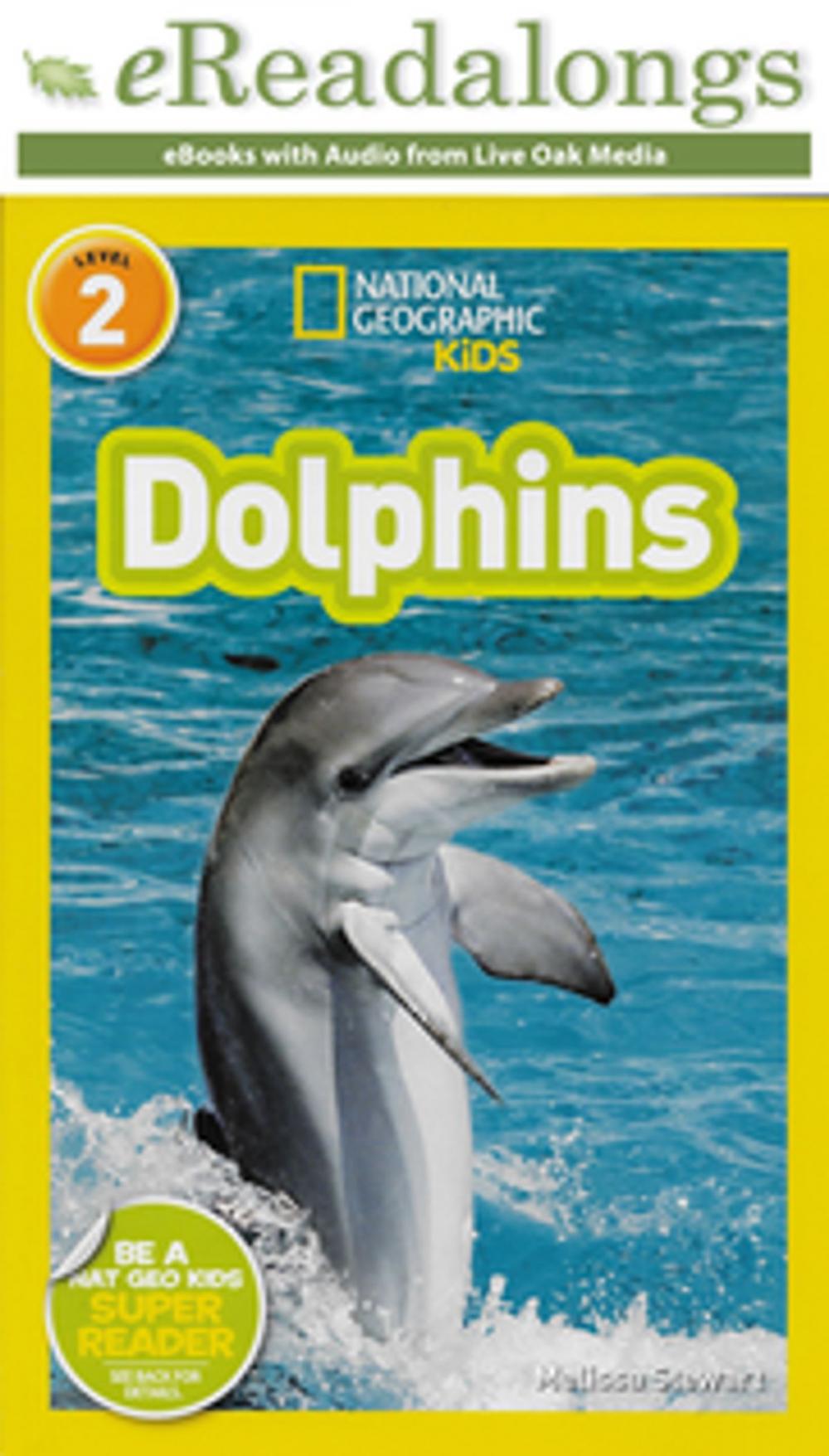 Big bigCover of Dolphins