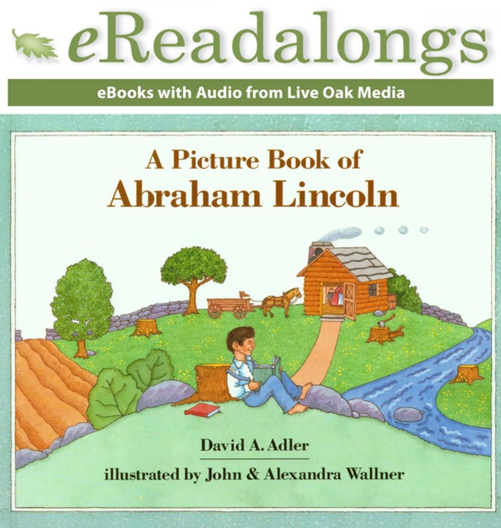 Big bigCover of A Picture Book of Abraham Lincoln