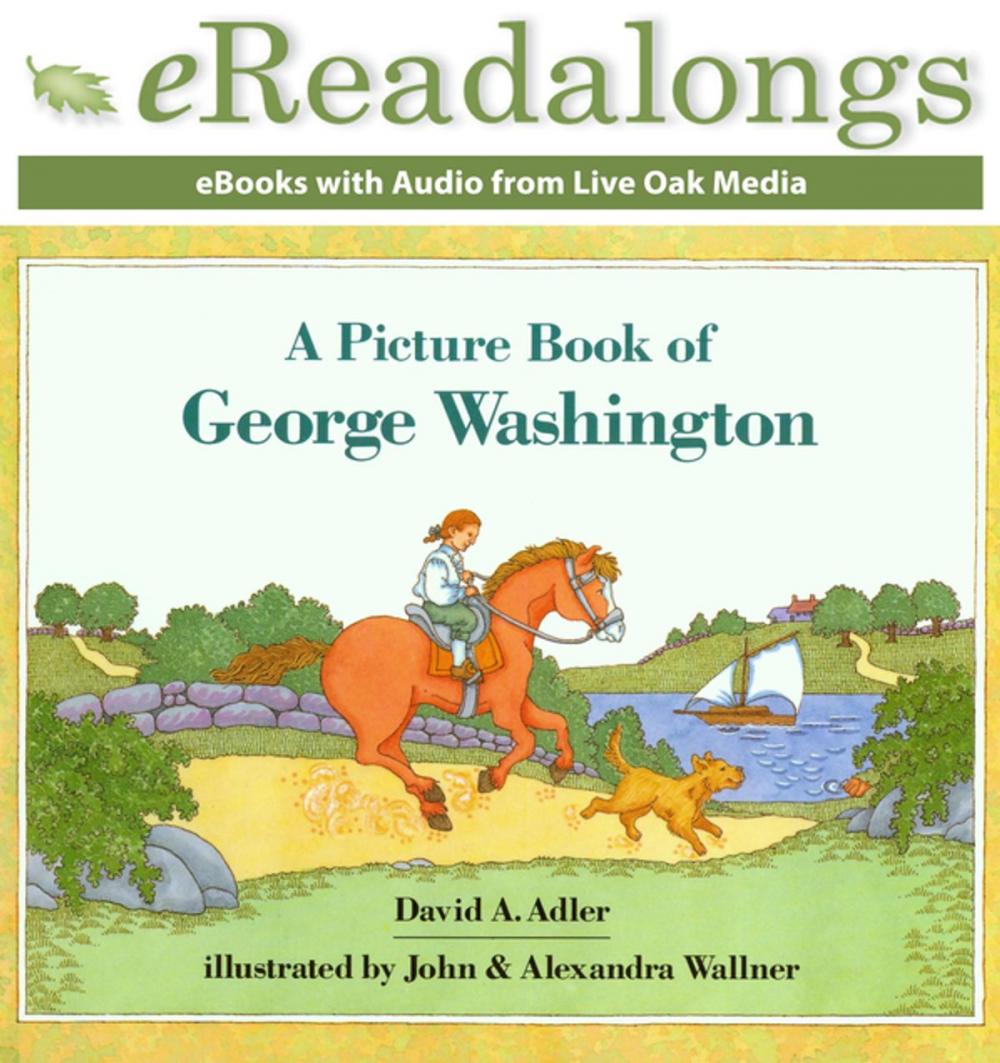 Big bigCover of A Picture Book of George Washington