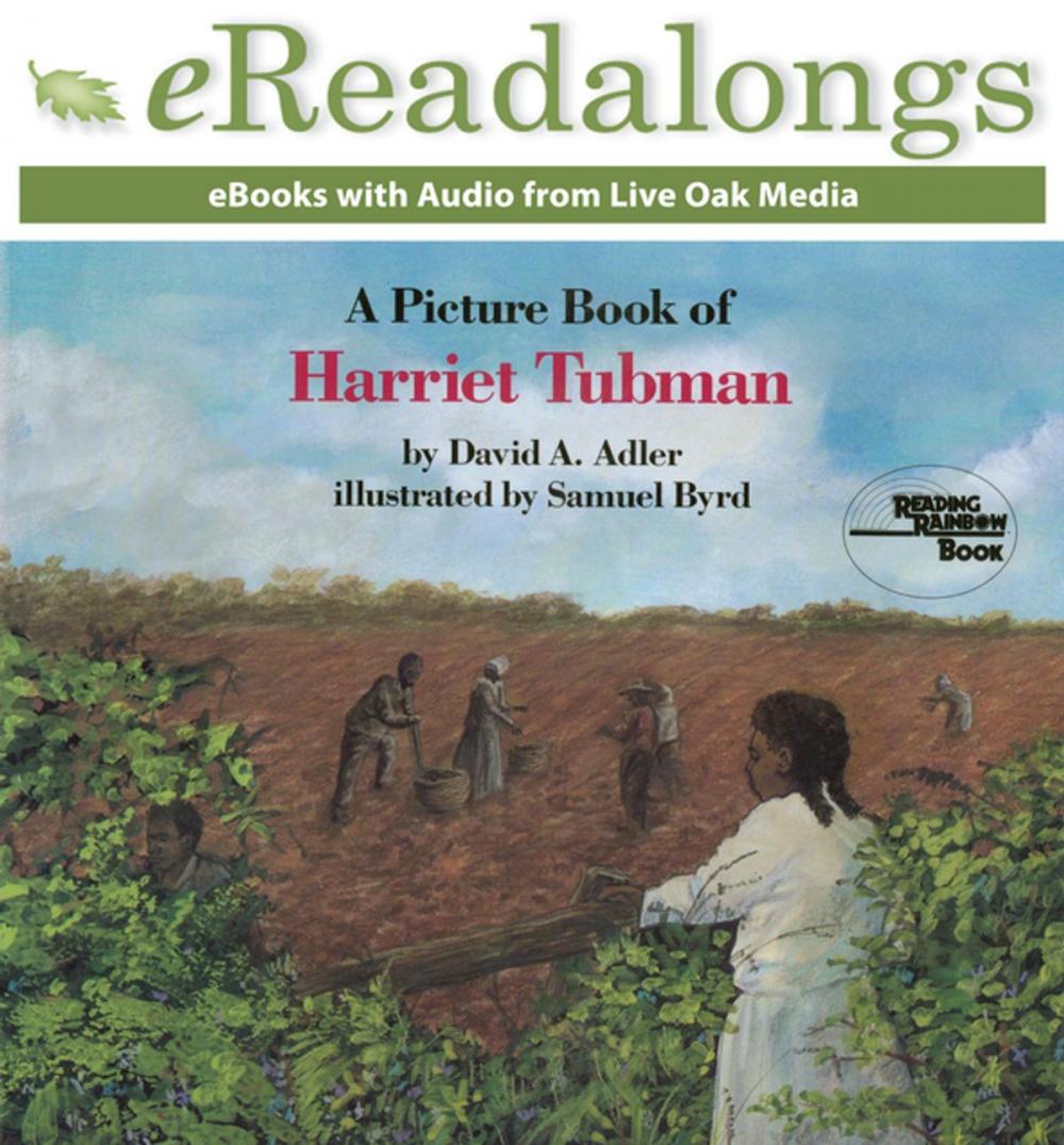 Big bigCover of A Picture Book of Harriet Tubman