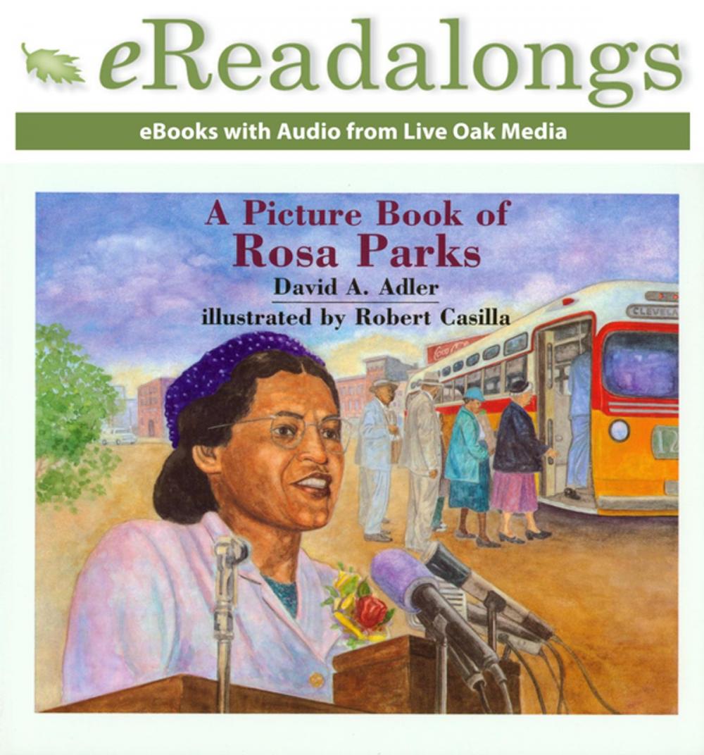 Big bigCover of A Picture Book of Rosa Parks