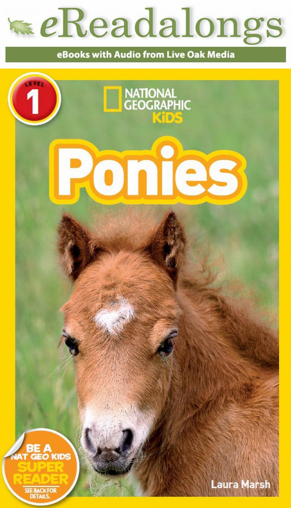 Big bigCover of Ponies