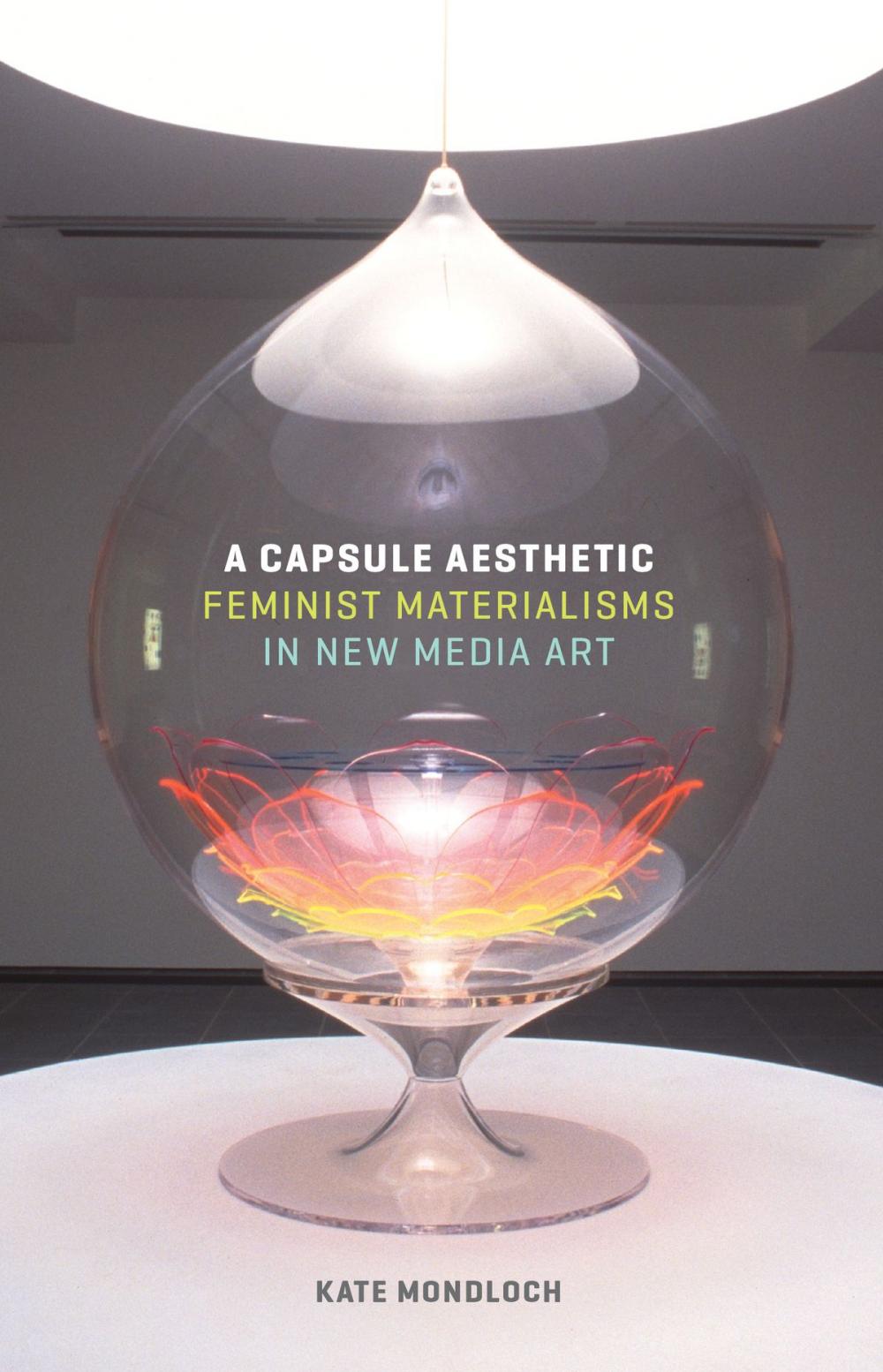 Big bigCover of A Capsule Aesthetic