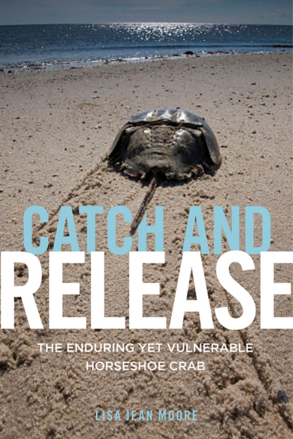 Big bigCover of Catch and Release