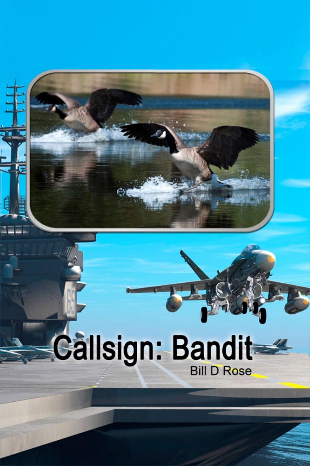 Big bigCover of Callsign: Bandit