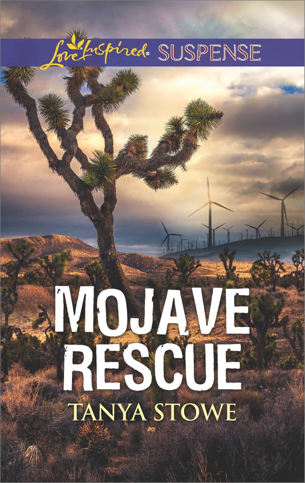 Big bigCover of Mojave Rescue