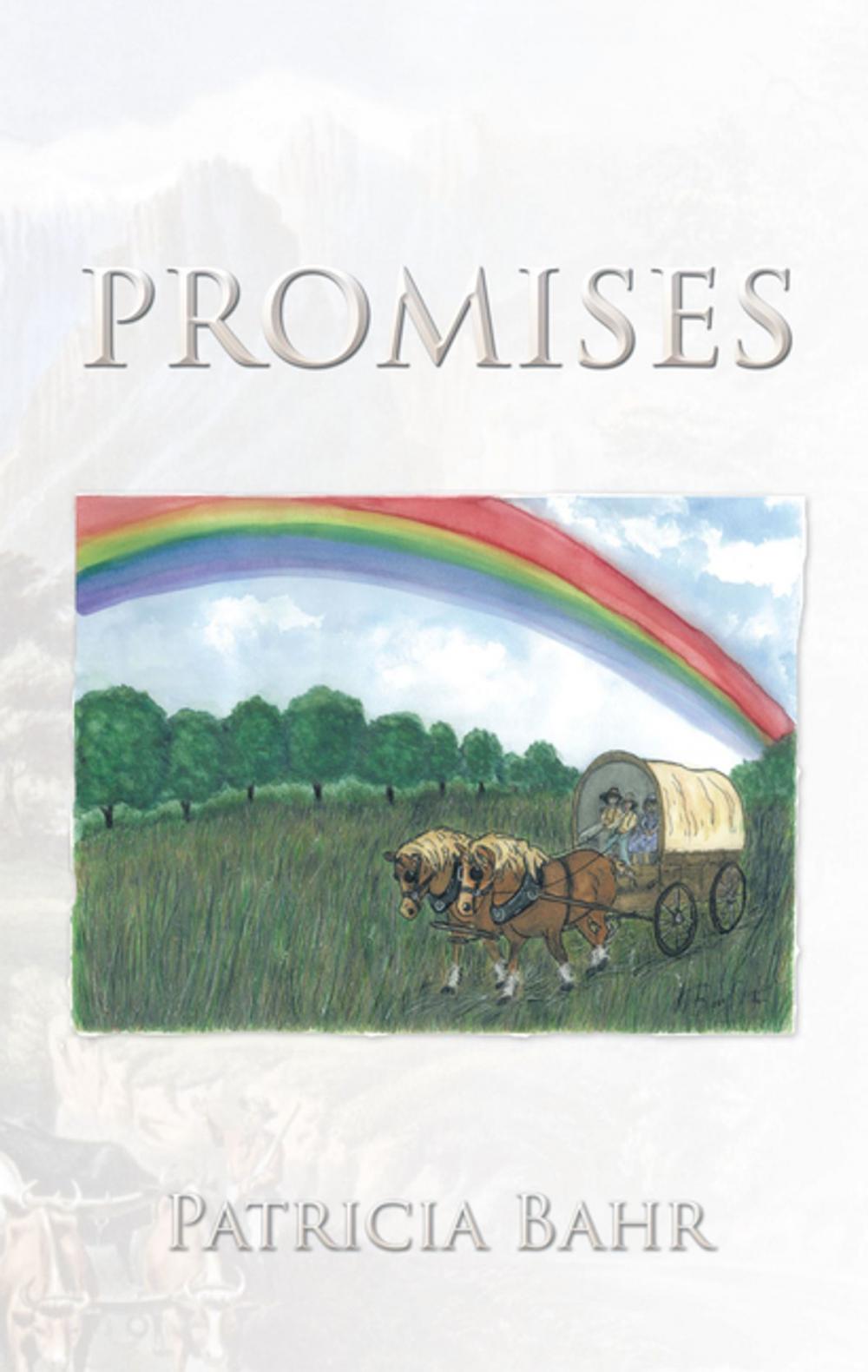 Big bigCover of Promises