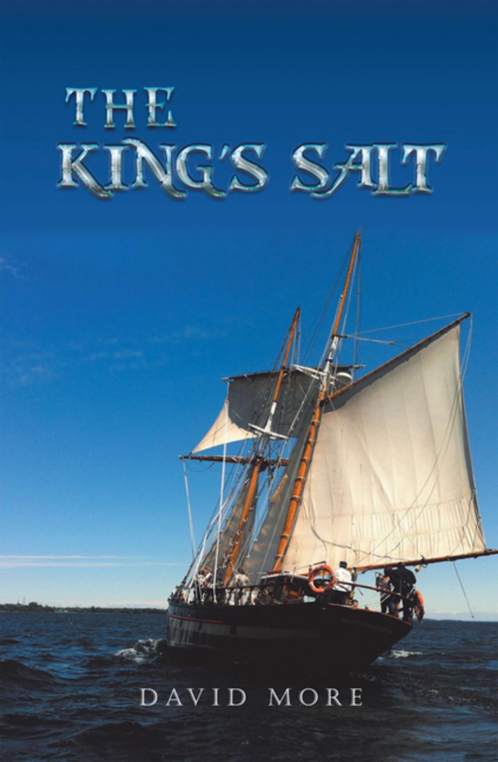 Big bigCover of The King's Salt