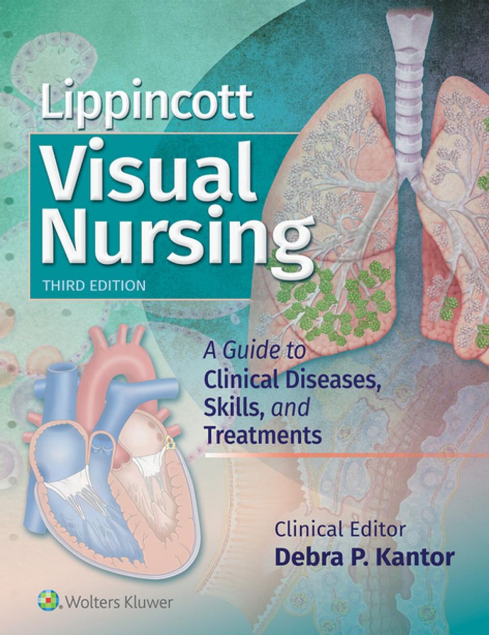 Big bigCover of Lippincott Visual Nursing