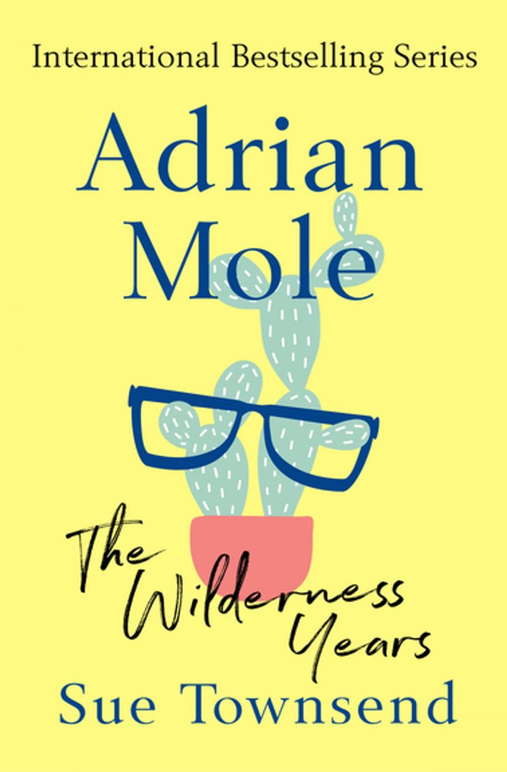 Big bigCover of Adrian Mole: The Wilderness Years