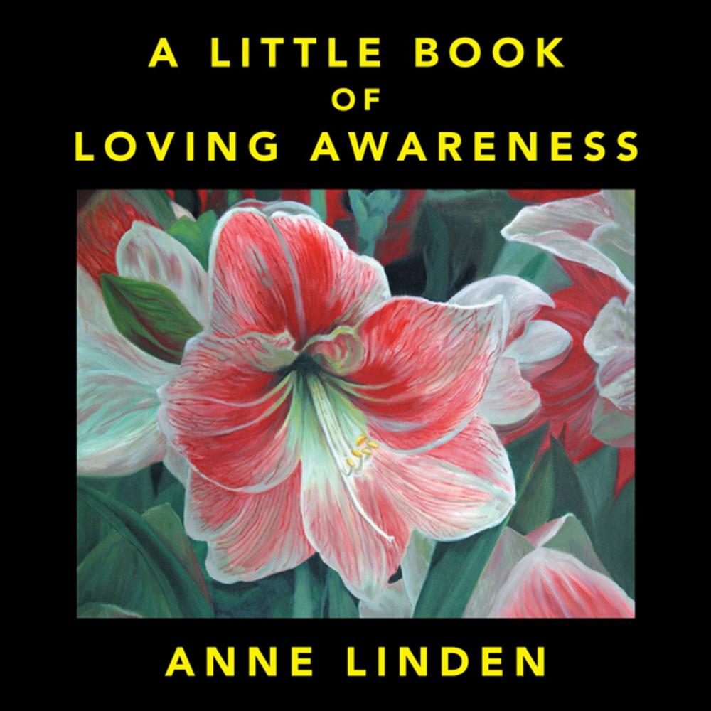 Big bigCover of A Little Book of Loving Awareness