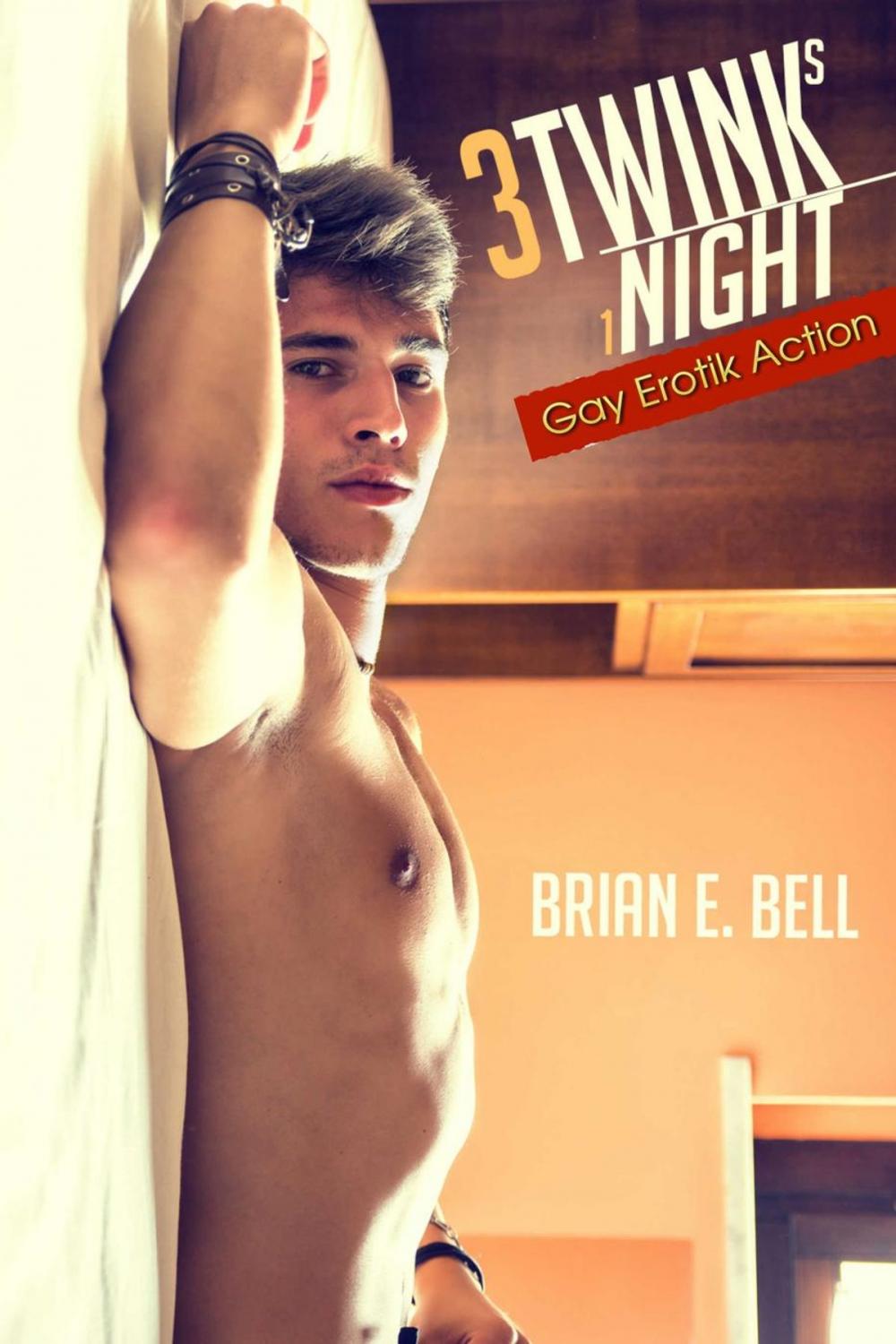 Big bigCover of 3 Twinks 1 Night: Gay Erotik Action