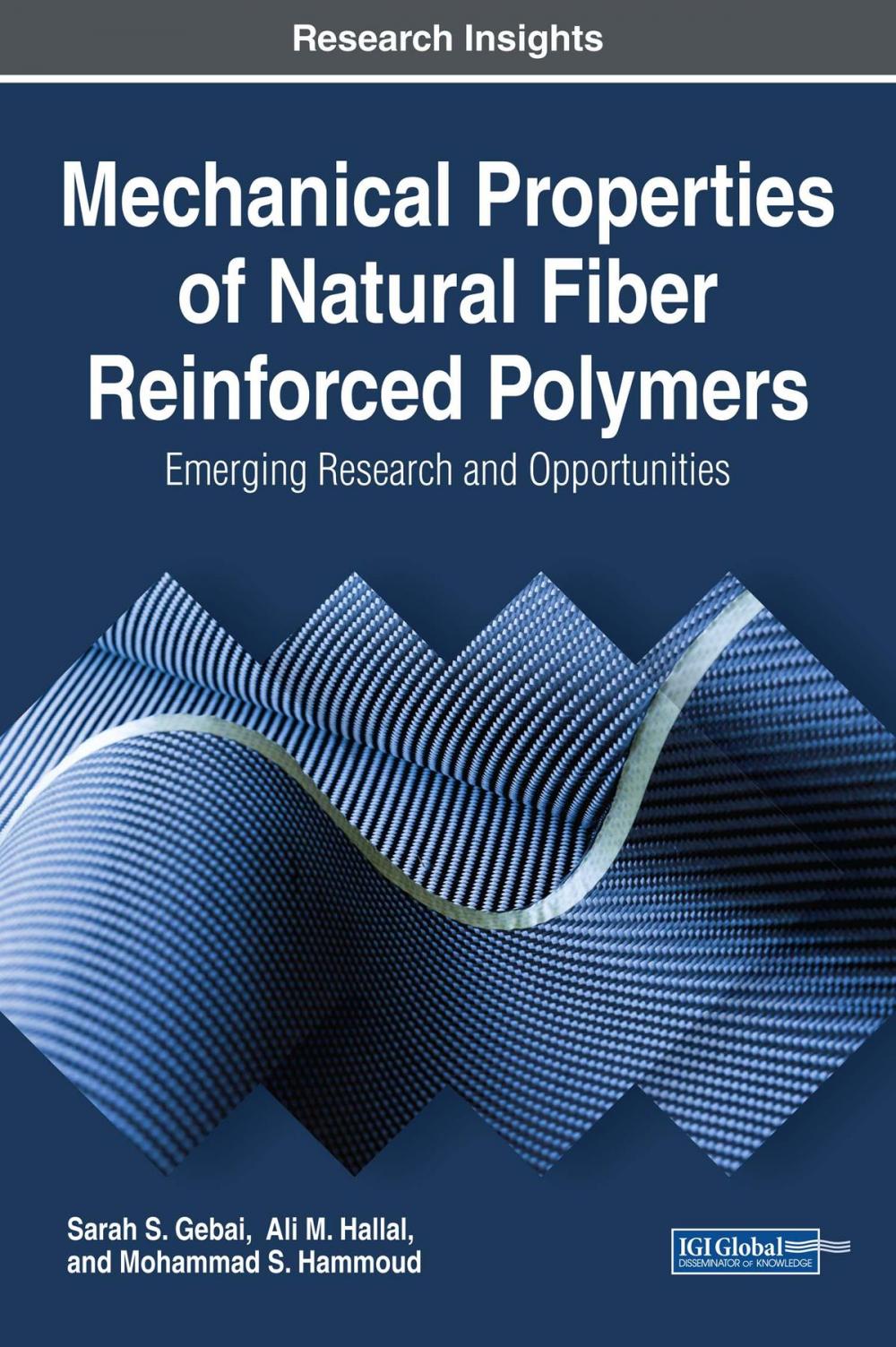 Big bigCover of Mechanical Properties of Natural Fiber Reinforced Polymers